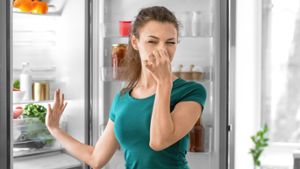 Vorschaubild zum Artikel Kühlschrank stinkt