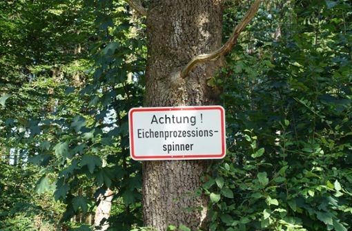 Schilder warnen Spaziergänger vor befallenen Waldgebieten. Foto: Forstamt Kreis Esslingen