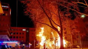 Die trockenen Zweige brannten im Stuttgarter Westen wie Zunder. Foto: Annika Grah