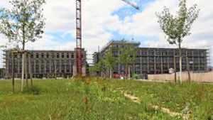 Die ersten beiden Gebäude im neuen Wohn- und Gewerbequartier Neckarpark werden noch in diesem Jahr fertig. Foto: Uli Nagel
