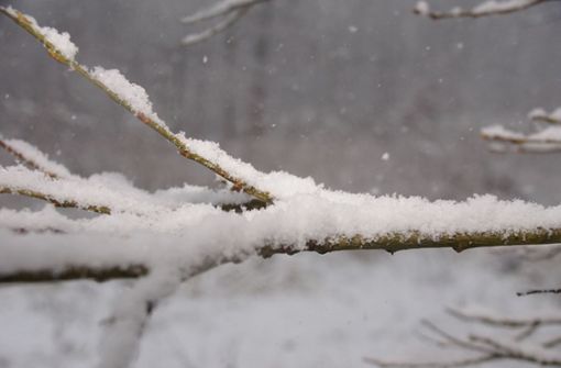 In Stuttgart ist der Winter zurück. Foto: Andreas Rosar Fotoagentur-Stuttg
