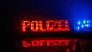 Die Polizei in Ludwigsburg ermittelt wegen Brandstiftung. (Symbolbild) Foto: SDMG/SDMG / Kohls