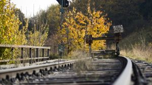 Regionalräte werben für S-Bahn nach Calw