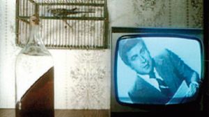 In dem Video „Mein Fenster“ (1979) von Zbigniew Rybczynski beginnen Kanarienvogel und TV-Sprecher zu kippen. Foto: ZKM