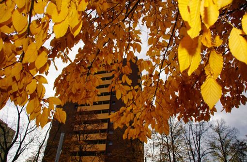 Bunte Blätter hängen an den Bäumen und verleihen Stuttgart und der Region ein wenig Farbe. Foto: Andreas Rosar Fotoagentur-Stuttgart