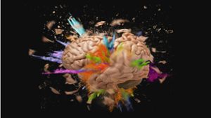 Forscher haben bisher mehr als 3000 Typen von Hirnzellen ermittelt, die im Gehirn in ihren Funktionen voneinander abweichen. Foto: Imago/Chromorange
