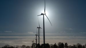 Strom soll künftig klimaneutral erzeugt werden. Eine Möglichkeit ist Windenergie. Die AfD im Gemeinderat lehnt diese ab. Sie setzt auf Atomkraft. Foto: dpa/Christian Charisius