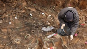 Eine Archäologin legt die menschlichen Überreste in einem der bisher größten in Deutschland entdeckten Pestgräber in Nürnberg frei. Die Skelette wurden bei Bauarbeiten auf der Baustelle für ein neues Altenheim entdeckt. Foto: dpa/Daniel Löb