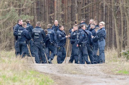 Einsatzkräfte durchkämmen einen Wald in Brandenburg. Foto: dpa-Zentralbild