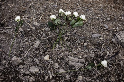 Weiße Rosen zum Gedenken an die Opfer des Absturzes der Germanwings-Maschhine. Foto: EPA