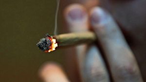 Cannabis ist die beliebteste illegale Droge in Deutschland. Schätzungsweise sind hierzulande 309 0000 Personen abhängig. Foto: picture alliance/dpa/Oliver Berg