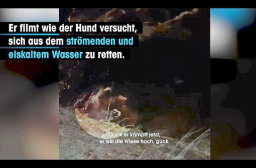 Mit diesem Video machte PETA öffentlich, wie der Mann seinen Hund in der Enz quälte. Foto: PETA Deutschland e.V./vimeo