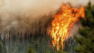 Ein Waldbrand wütet in der Region Donnie Creek in Kanada. Die Wetterextreme nehmen seit Jahrzehnten kontinuierlich zu, warnen Klimaforscher. Foto: AP/dpa/Noah Berger