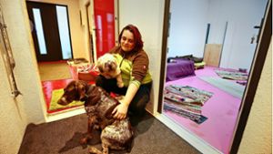 In der Tagesstätte Hundekörbchen kümmert sich Annette Lehmann liebevoll um ihre Schützlinge. Foto: factum/Granville