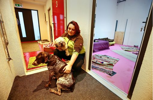 In der Tagesstätte Hundekörbchen kümmert sich Annette Lehmann liebevoll um ihre Schützlinge. Foto: factum/Granville