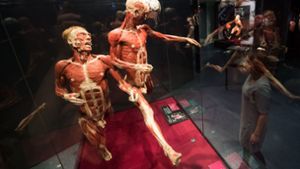 Die Ausstellung „Körperwelten“ in Heidelberg ist am Freitag seit 100 Tagen geöffnet. Foto: dpa