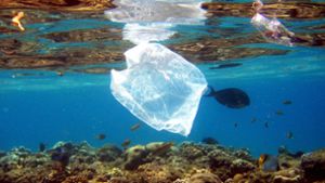 Die Plastikverschmutzung der Meere nimmt immer weiter zu. Foto: picture alliance/dpa/Mike Nelson