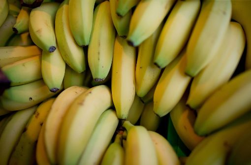 384 Kilogramm Kokain sind in 26 Bananenkisten bei einem Leverkusener Großhändler gefunden und sichergestellt worden. Foto: dpa