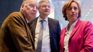 Beatrix von Storch mit den beiden AfD-Bundesvorsitzenden Alexander Gauland und Jörg Meuthen (Mitte). Alle lieben sie die Provokation. Foto: dpa