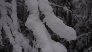 Im Schwarzwald und auf der Schwäbischen Alb gab es den ersten Schnee. Foto: Andreas Rosar/Andreas Rosar Fotoagentur-Stuttgart