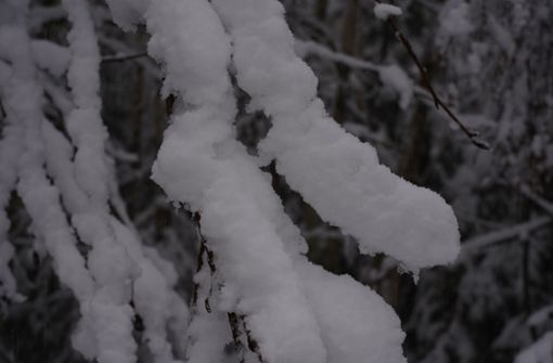 Im Schwarzwald und auf der Schwäbischen Alb gab es den ersten Schnee. Foto: Andreas Rosar/Andreas Rosar Fotoagentur-Stuttgart