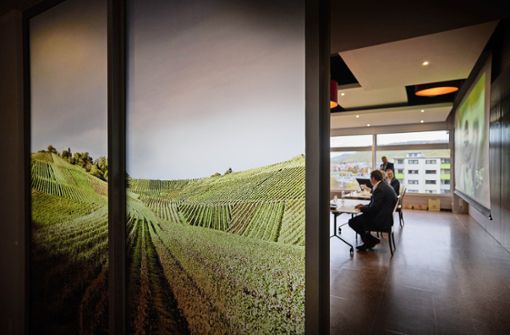 Die Zukunft der Rebfläche stand beim „Weingipfel“ im Vordergrund. Foto: Gottfried Stoppel