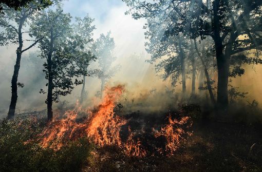 In Südfrankreich wüten Waldbrände. Foto: AFP