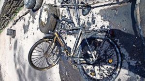 Eines der  Fahrräder, das von den  Anglern bei einer der vergangenen Putzeten aus dem Riedsee gezogen worden ist. Foto: privat