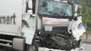 An dem Unfall waren mindesten zwei Lkw beteiligt. Foto: SDMG/SDMG / Gress