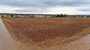 Das neu ausgewiesene Gewerbegebiet in Korntal-Münchingen könnte noch lange brach liegen. Foto: factum/Granville