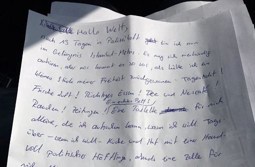 Der inhaftierte deutsch-türkische Journalist Deniz Yücel hat einen Brief aus dem Gefängnis geschrieben. Foto: WeltN24