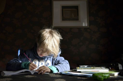 In Corona-Zeiten sind viele Kinder auf sich gestellt – mit teils gravierenden sozialen Folgen. Foto: Antti Aimo-Koivisto/Lehtikuva/dp