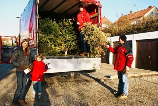 In sieben Gruppen haben 60 Mitarbeiter 700 Bäume gesammelt. Foto: Stefanie Käfferlein