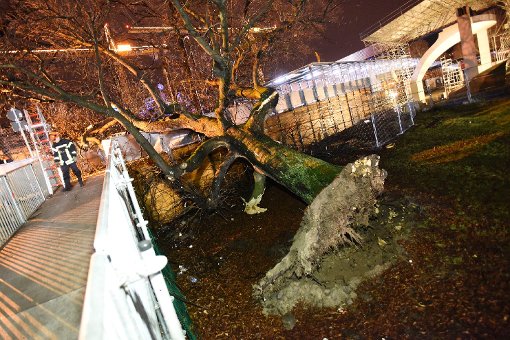 Ein Baum ist aufgrund der Sturmböen im Stuttgarter Schloßgarten auf einen Fußgängersteg gefallen. Foto: 7aktuell/Eyb
