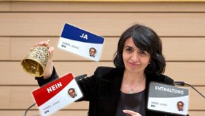 Wenn Landtagspräsidentin Muhterem Aras die Abgeordneten zur namentliche Abstimmung ruft, kommen diese Karten zum Einsatz. Foto: dpa/Christoph Schmidt