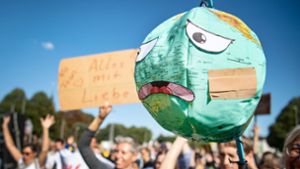 Fridays for Future will im Internet weiter für den Klimaschutz demonstrieren. Foto: dpa/Sina Schuldt