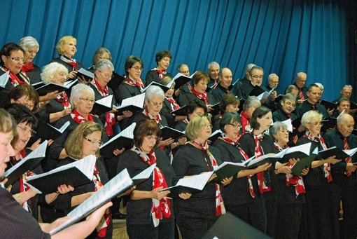 Zur Zeit singen 65 Männer und Frauen in der Chorvereinigung Weilimdorf. Foto: Archiv Georg Linsenmann