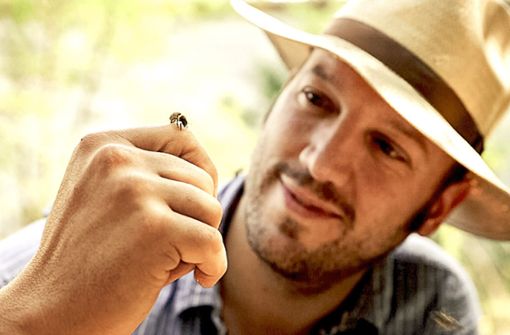 „Bienen suchen die Wärme des Menschen, durch den Kontakt sind  sie freundlicher“, sagt Tobias Miltenberger. Foto:  