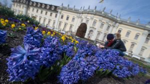 Vor dem Residenzschloss in Ludwigsburg zeigen sich diese Hyazinthen. Foto: dpa
