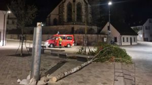 Der gerade aufgestellte Baum wurde in der Nacht auf den 1. Mai abgesägt. Foto: Feuerwehr Magstadt