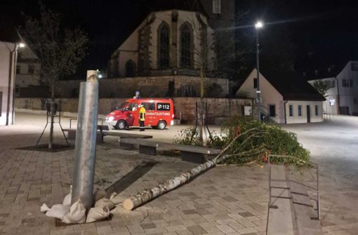 Der gerade aufgestellte Baum wurde in der Nacht auf den 1. Mai abgesägt. Foto: Feuerwehr Magstadt