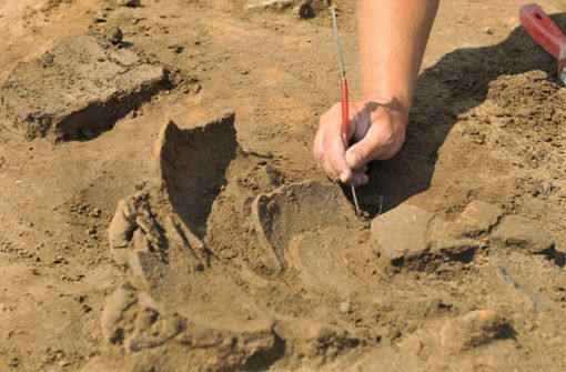 Ein Archäologe legt die Scherben eines Gefäßes frei – wurde es einst verwendet? Foto: dpa