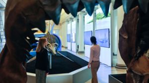 Am Eingang werden die Besucher vom furchteinflößenden Gebiss des urzeitlichen Riesenhais Megalodon begrüßt, dem Topräuber der damaligen Weltmeere. Foto: Lichtgut/Max Kovalenko