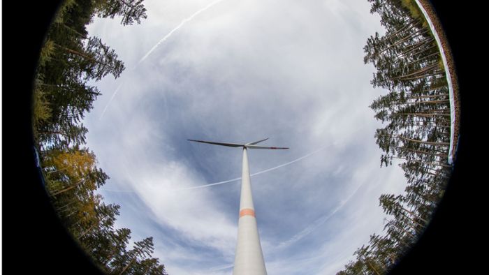 Erneuerbare Energien in Stuttgart: Windkraft – im Tauschwald formiert sich Widerstand