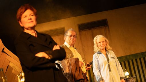 Sabine Bräuning als Rose (links), Reinhold Ohngemach als Robin und Gesine Hannemann als Hazel in „Die Kinder“. Foto: Björn Klein