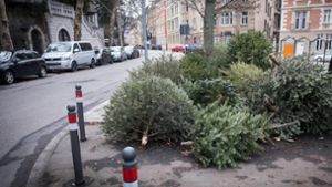 Auch in der Etzel-/Alexanderstraße wurden illegalerweise Christbäume entsorgt. Mittlerweile sind diese aber abgeholt worden. Foto: Lichtgut/Achim Zweygarth