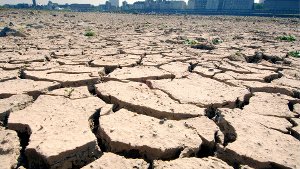 Das ist nicht die Sahelzone, sondern das Rheinufer bei Düsseldorf. Entstanden ist das Foto Ende Juni 2005,  als  Hitze und Dürre das Land im Griff hatte und den Boden aufbrechen ließ. Foto: dpa