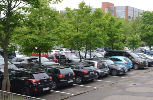 Grün statt Parkplätze, das war eine der Ideen im Bezirksbeirat. Foto: Sandra Hintermayr
