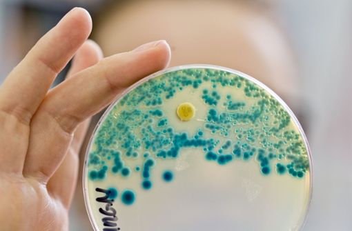 Eine Mitarbeiterin am Institut für Klinische Mikrobiologie, Immunologie und Hygiene des Uniklinikums Erlangen hält   eine Indikator-Kulturplatte zum Nachweis resistenter Bakterien in der Hand Foto: dpa