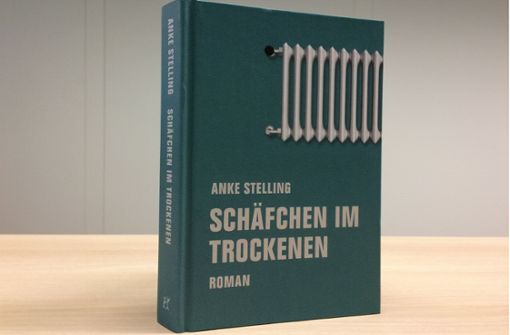 „Schäfchen im Trockenen“ von Anke Stelling, Verbrecher Verlag,  22 Euro. Foto: Pav
